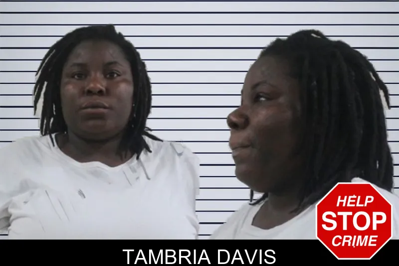 Tambria Davis mugshot – Houston County , Georgia Tambria Davis mugshot