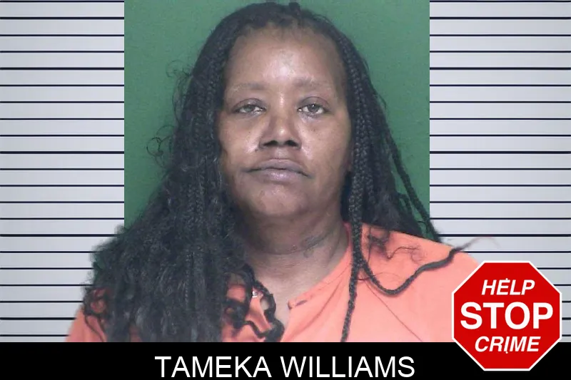 Tameka Williams mugshot – Appling County , Georgia Tameka Williams mugshot