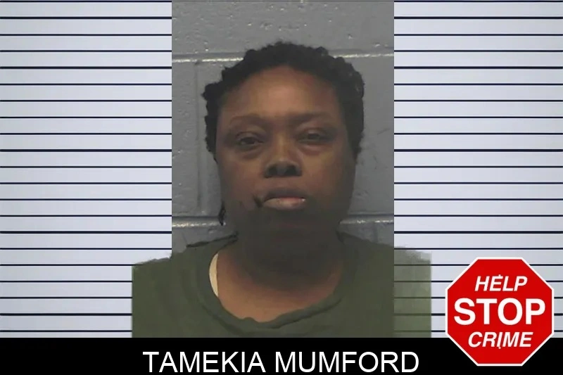 Tamekia Mumford mugshot – Ware County , Georgia Tamekia Mumford mugshot