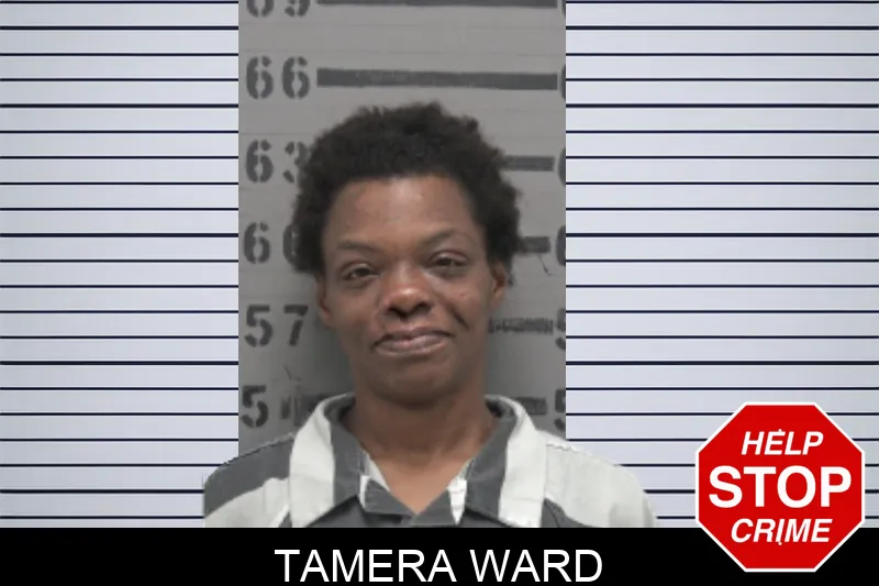 Tamera Ward mugshot
