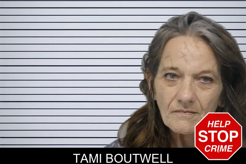 Tami Boutwell mugshot