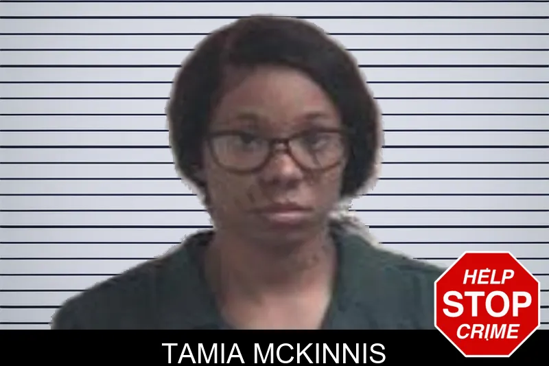 Tamia McKinnis mugshot – Henry County , Georgia Tamia McKinnis mugshot