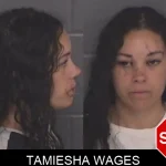 Tamiesha Wages mugshot – Barrow County , Georgia Tamiesha Wages mugshot