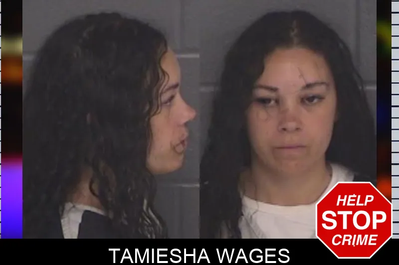 Tamiesha Wages mugshot