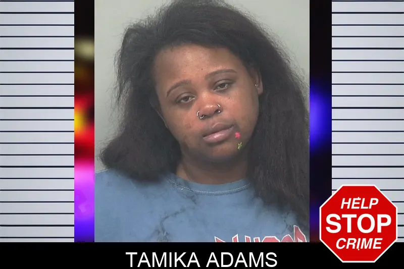 Tamika Adams mugshot – Gwinnett County , Georgia Tamika Adams mugshot