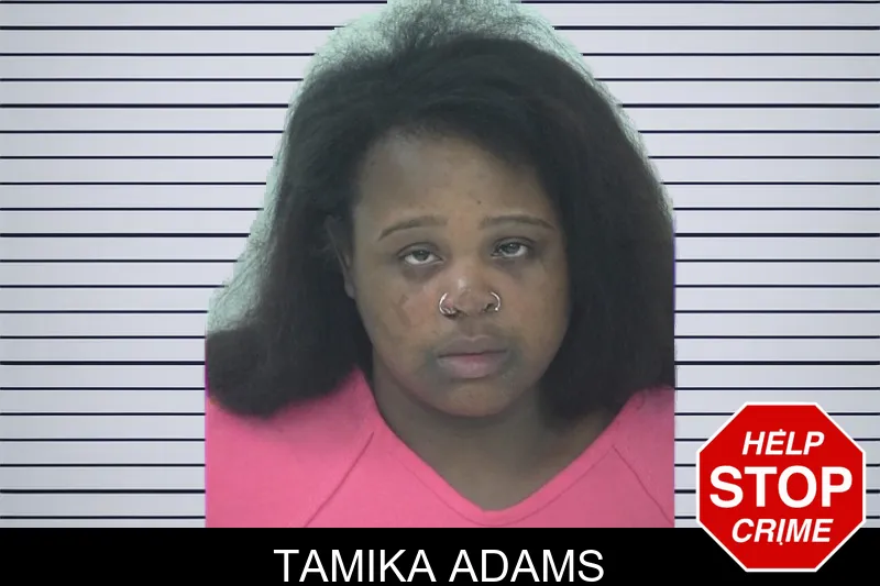 Tamika Adams mugshot