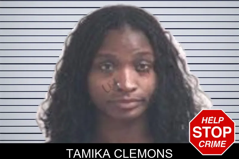 Tamika Clemons mugshot – Henry County , Georgia Tamika Clemons mugshot