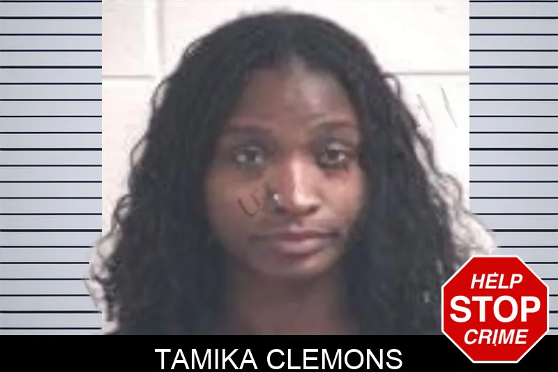 Tamika Clemons mugshot