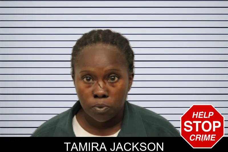Tamira Jackson mugshot – Chatham County , Georgia Tamira Jackson mugshot