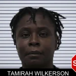 Tamirah Wilkerson mugshot