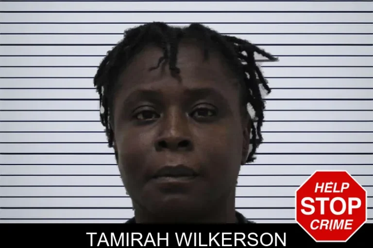 Tamirah Wilkerson mugshot – Colquitt County , Georgia Tamirah Wilkerson