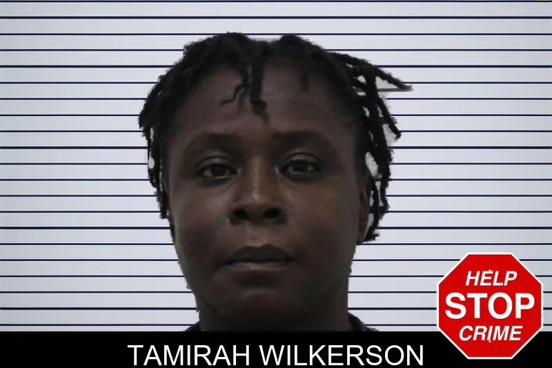 Tamirah Wilkerson mugshot
