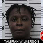 Tamirah Wilkerson mugshot