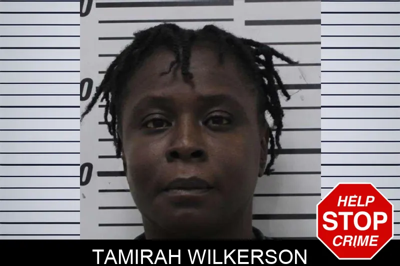 Tamirah Wilkerson mugshot