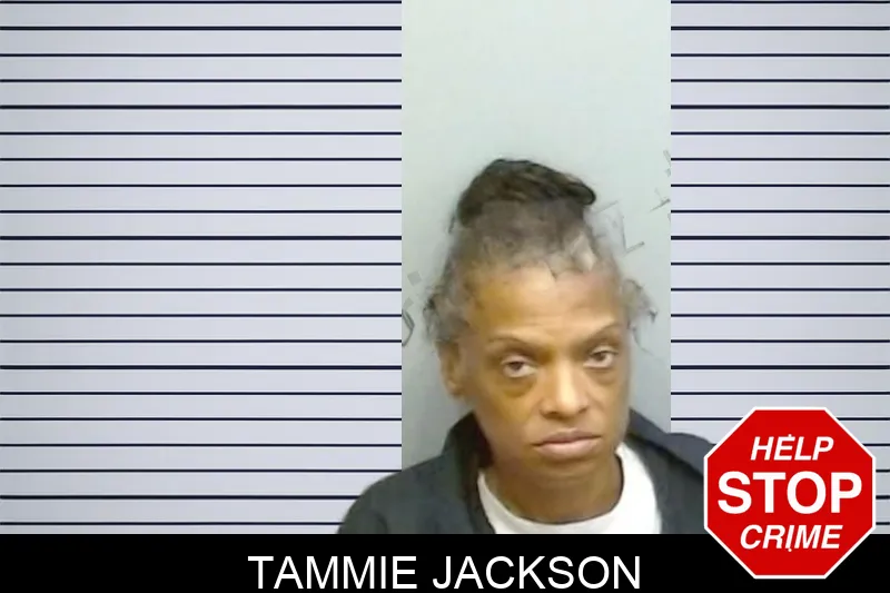 Tammie Jackson mugshot