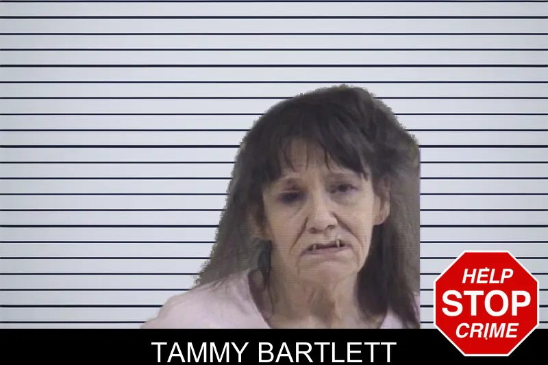 Tammy Bartlett mugshot