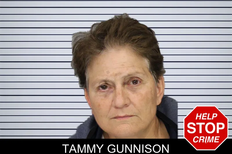 Tammy Gunnison mugshot – Cobb County , Georgia Tammy Gunnison mugshot
