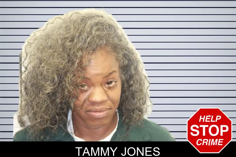 Tammy Jones mugshot – Chatham County , Georgia Tammy Jones mugshot