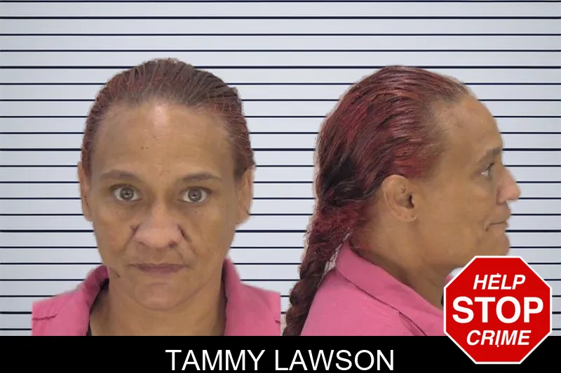 Tammy Lawson mugshot