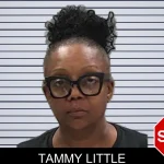 Tammy Little mugshot