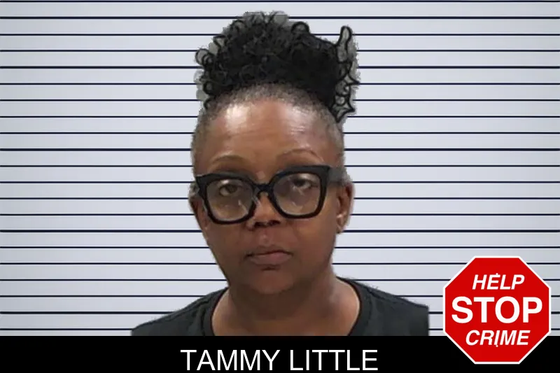 Tammy Little mugshot
