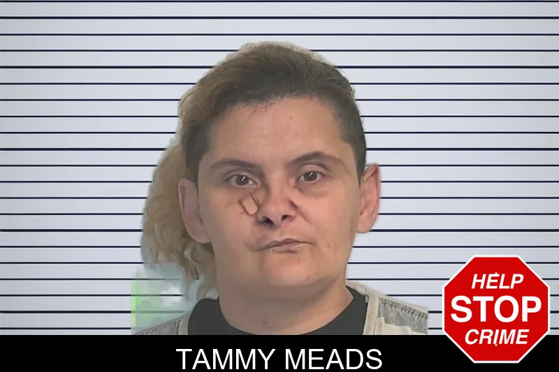Tammy Meads mugshot