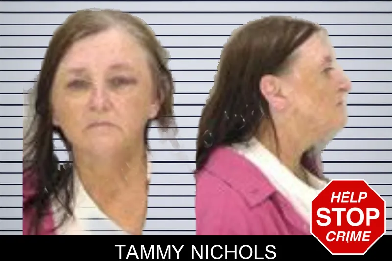 Tammy Nichols mugshot