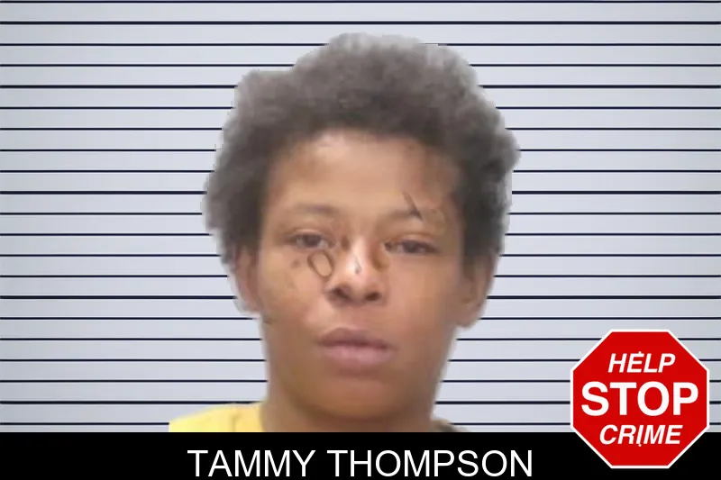 Tammy Thompson mugshot