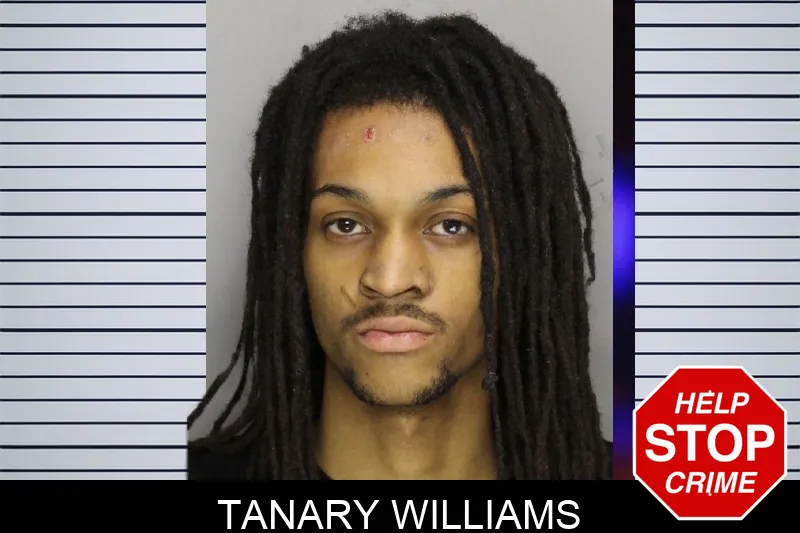 Tanary Williams mugshot – Cobb County , Georgia Tanary Williams mugshot
