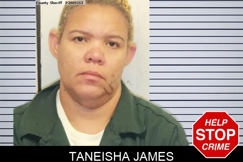 Taneisha James mugshot – Chatham County , Georgia Taneisha James mugshot