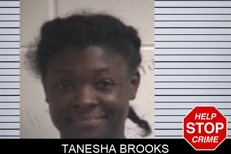 Tanesha Brooks mugshot