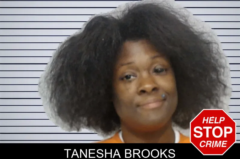 Tanesha Brooks mugshot
