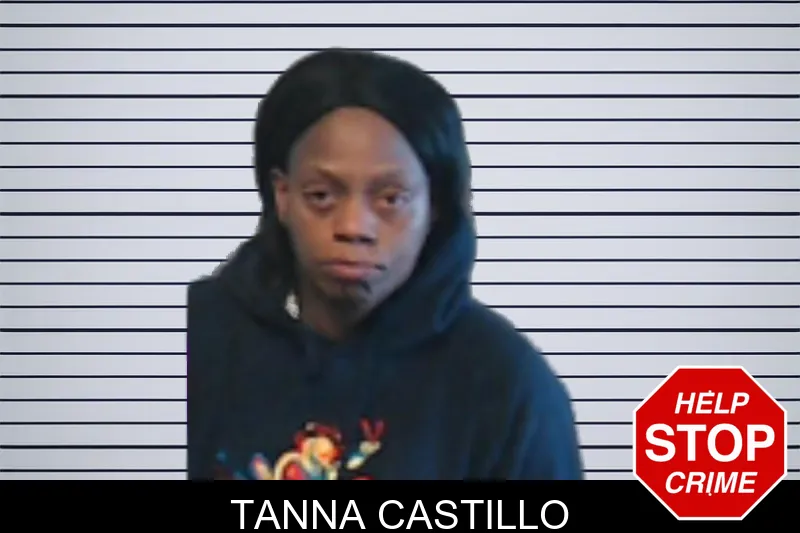Tanna Castillo mugshot
