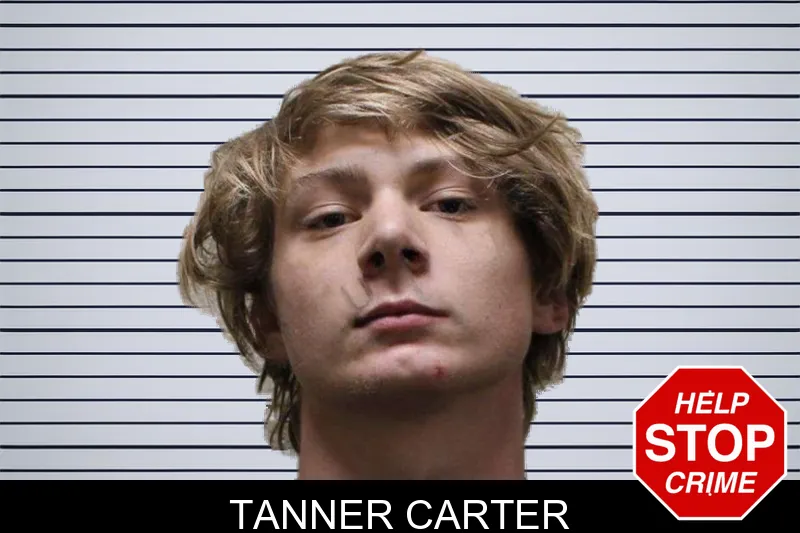 Tanner Carter mugshot – Haralson County , Georgia Tanner Carter mugshot