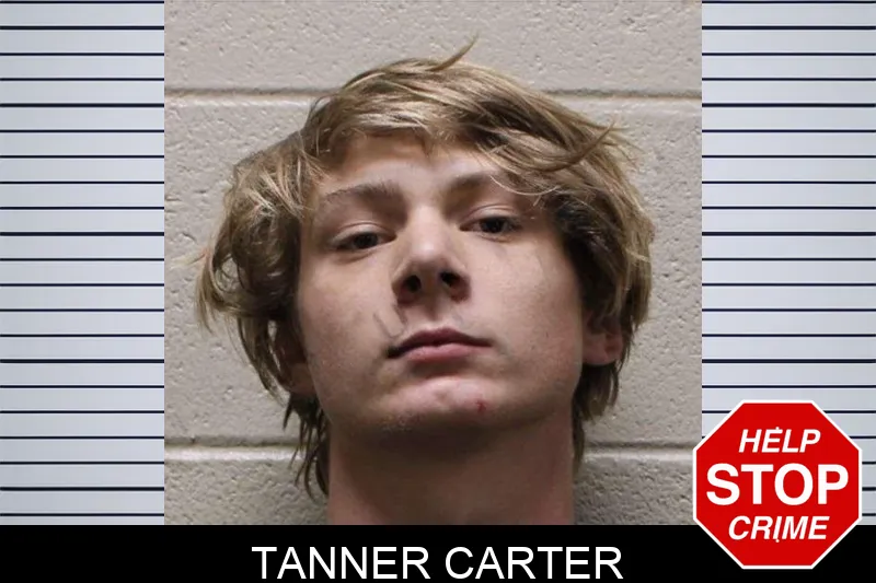 Tanner Carter mugshot