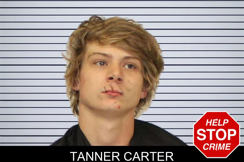 Tanner Carter mugshot