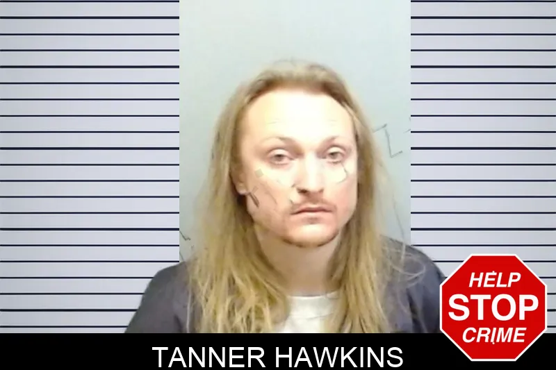 Tanner Hawkins mugshot