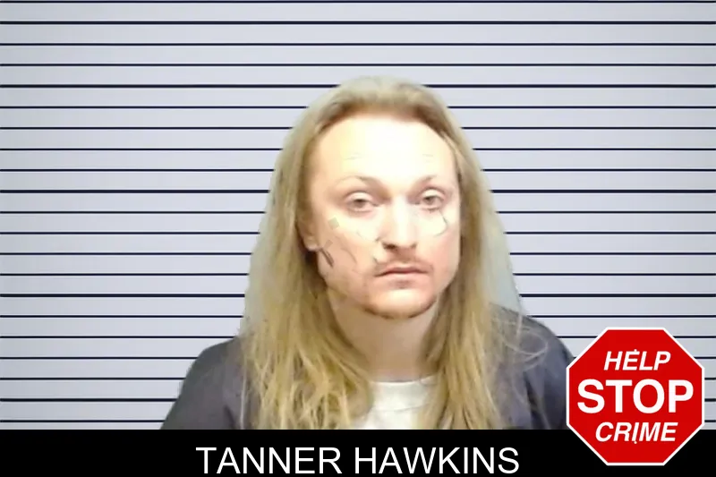 Tanner Hawkins mugshot
