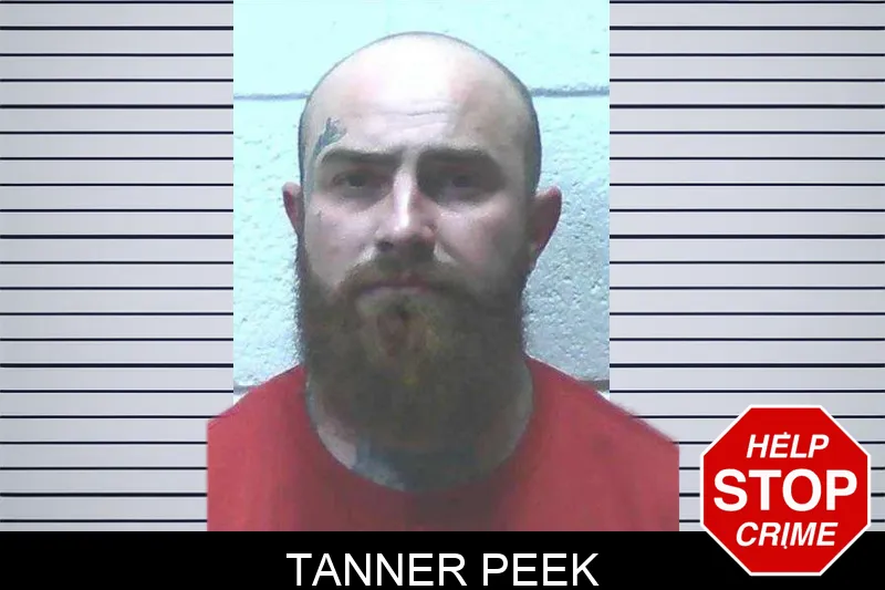 Tanner Peek mugshot