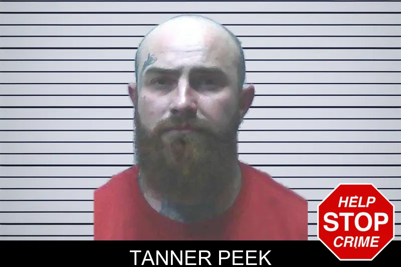 Tanner Peek mugshot
