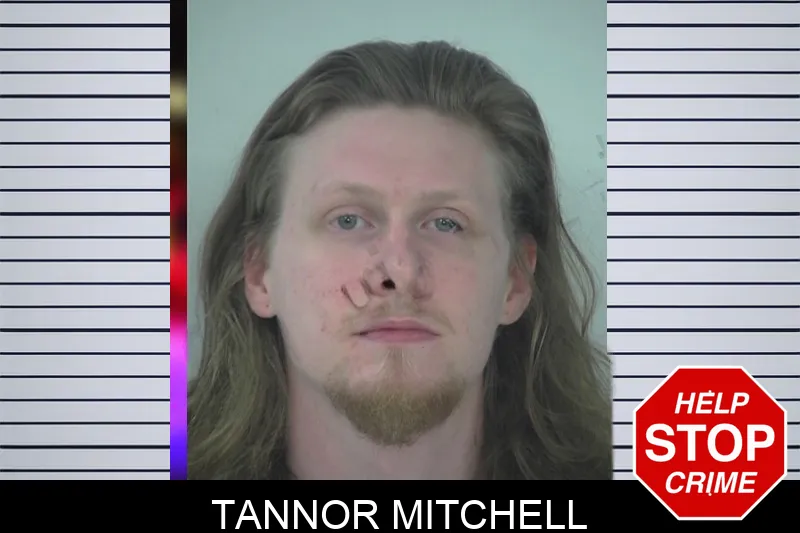 Tannor Mitchell mugshot – Fayette County , Georgia Tannor Mitchell mugshot