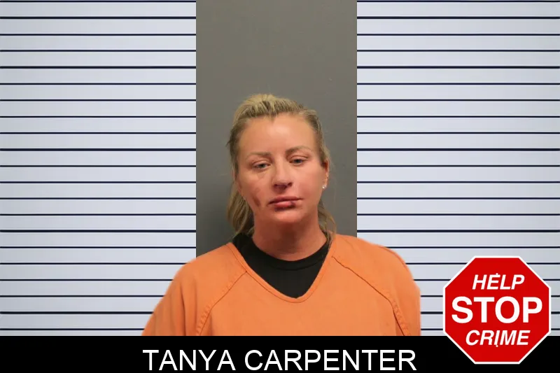 Tanya Carpenter mugshot – Lumpkin County , Georgia Tanya Carpenter mugshot