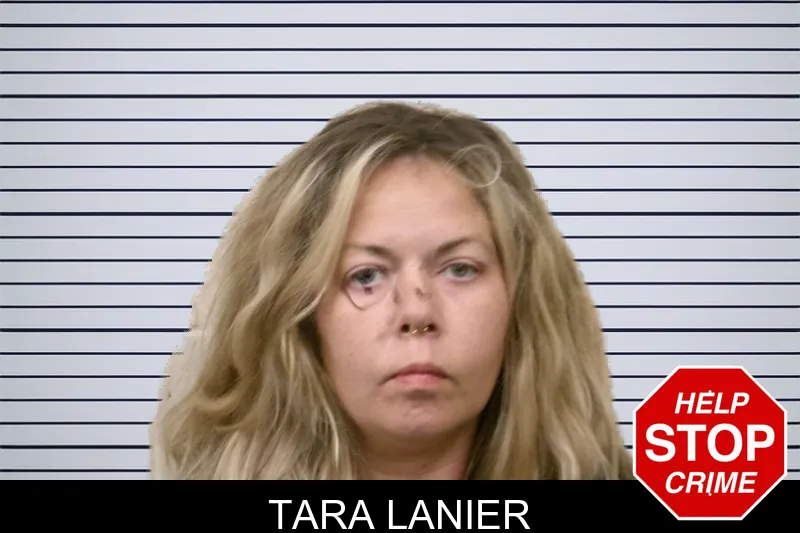 Tara Lanier mugshot – Bulloch County , Georgia Tara Lanier mugshot