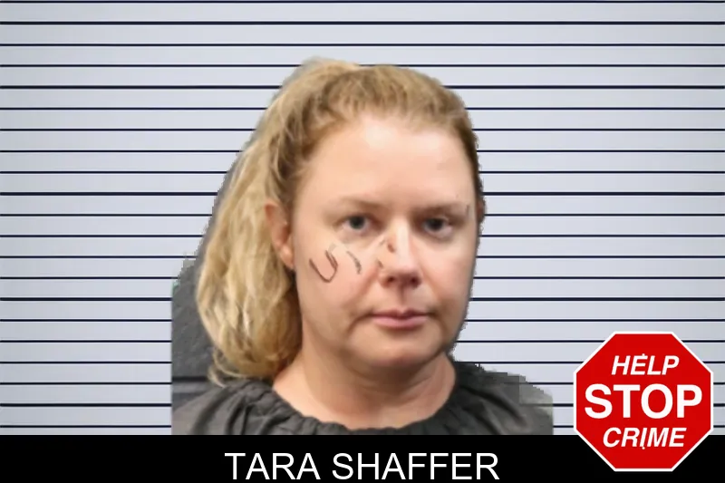 Tara Shaffer mugshot – Forsyth County , Georgia Tara Shaffer mugshot