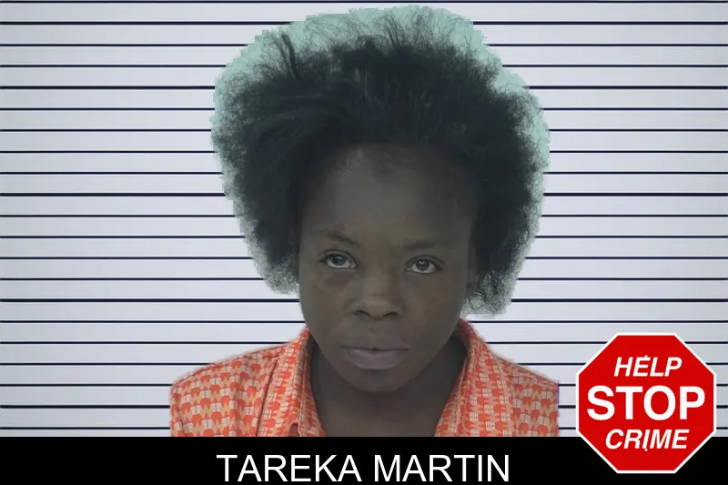 Tareka Martin mugshot