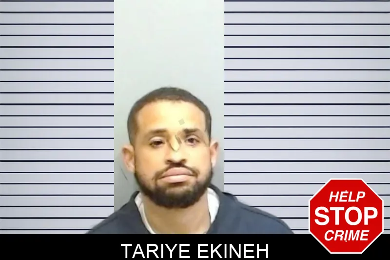 Tariye Ekineh mugshot