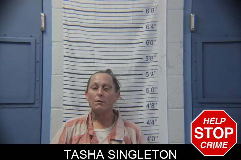 Tasha Singleton mugshot – Stephens County , Georgia Tasha Singleton mugshot