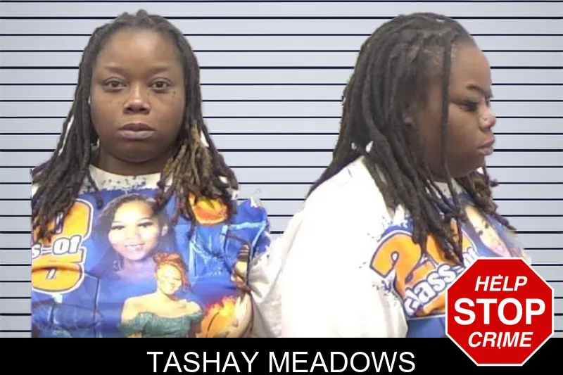 Tashay Meadows mugshot