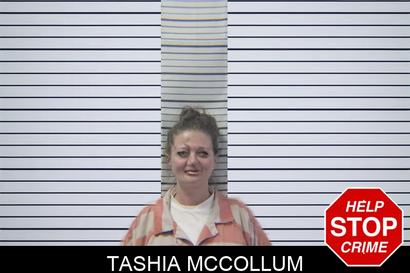 Tashia McCollum mugshot – Stephens County , Georgia Tashia McCollum mugshot