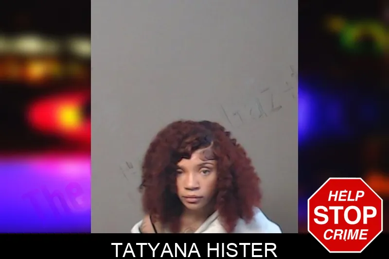 Tatyana Hister mugshot – DeKalb County , Georgia Tatyana Hister mugshot